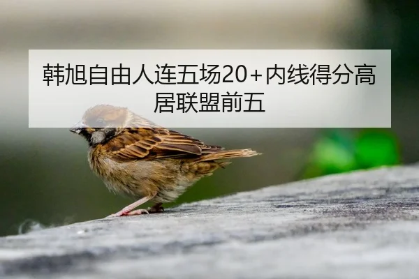 韩旭自由人连五场20+内线得分高居联盟前五