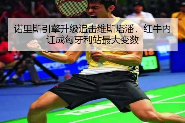 诺里斯引擎升级追击维斯塔潘，红牛内讧成匈牙利站最大变数