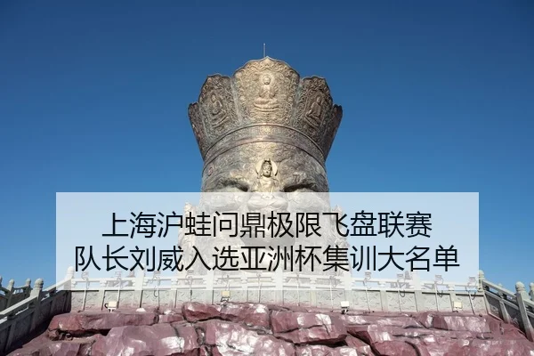 上海沪蛙问鼎极限飞盘联赛 队长刘威入选亚洲杯集训大名单